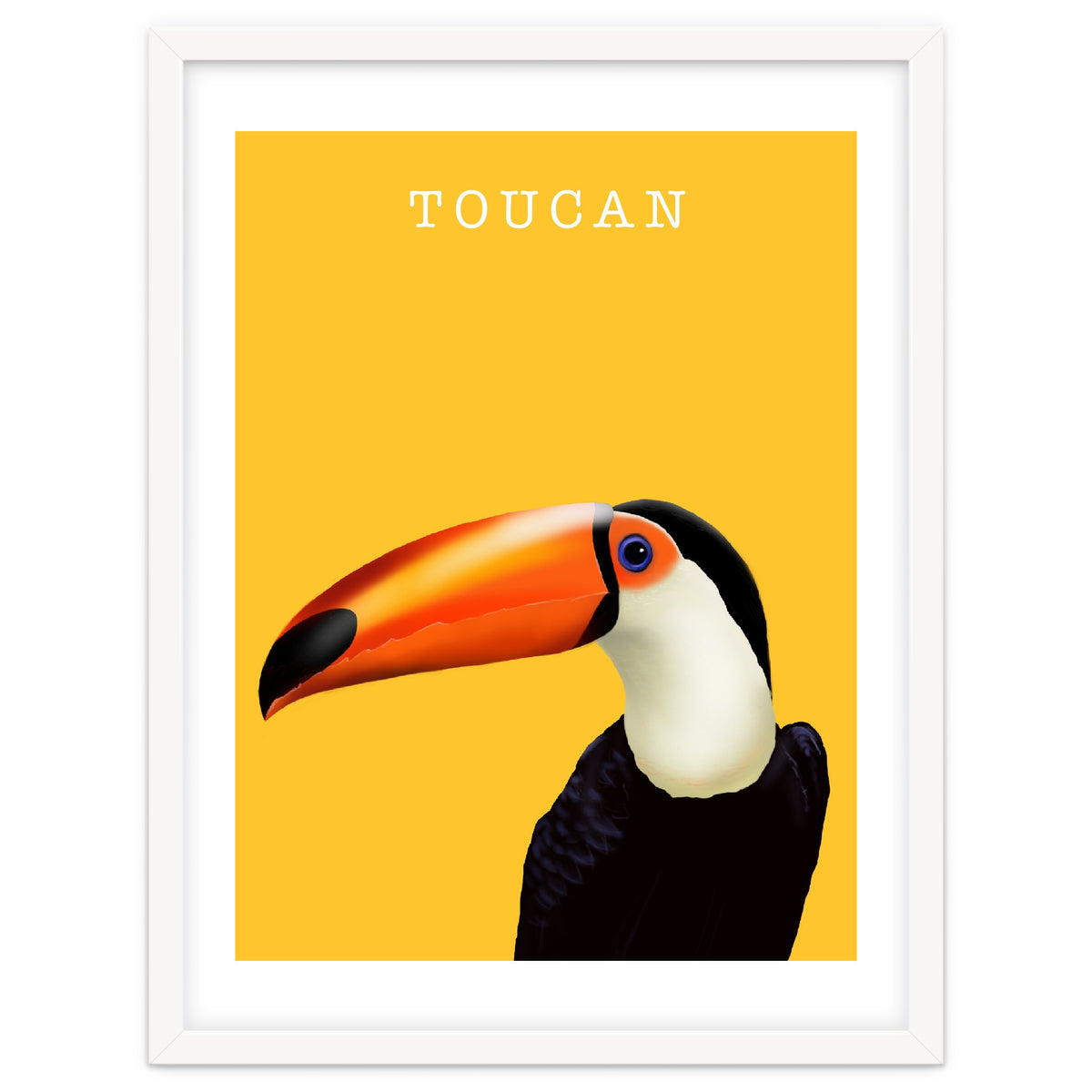 Toucan
