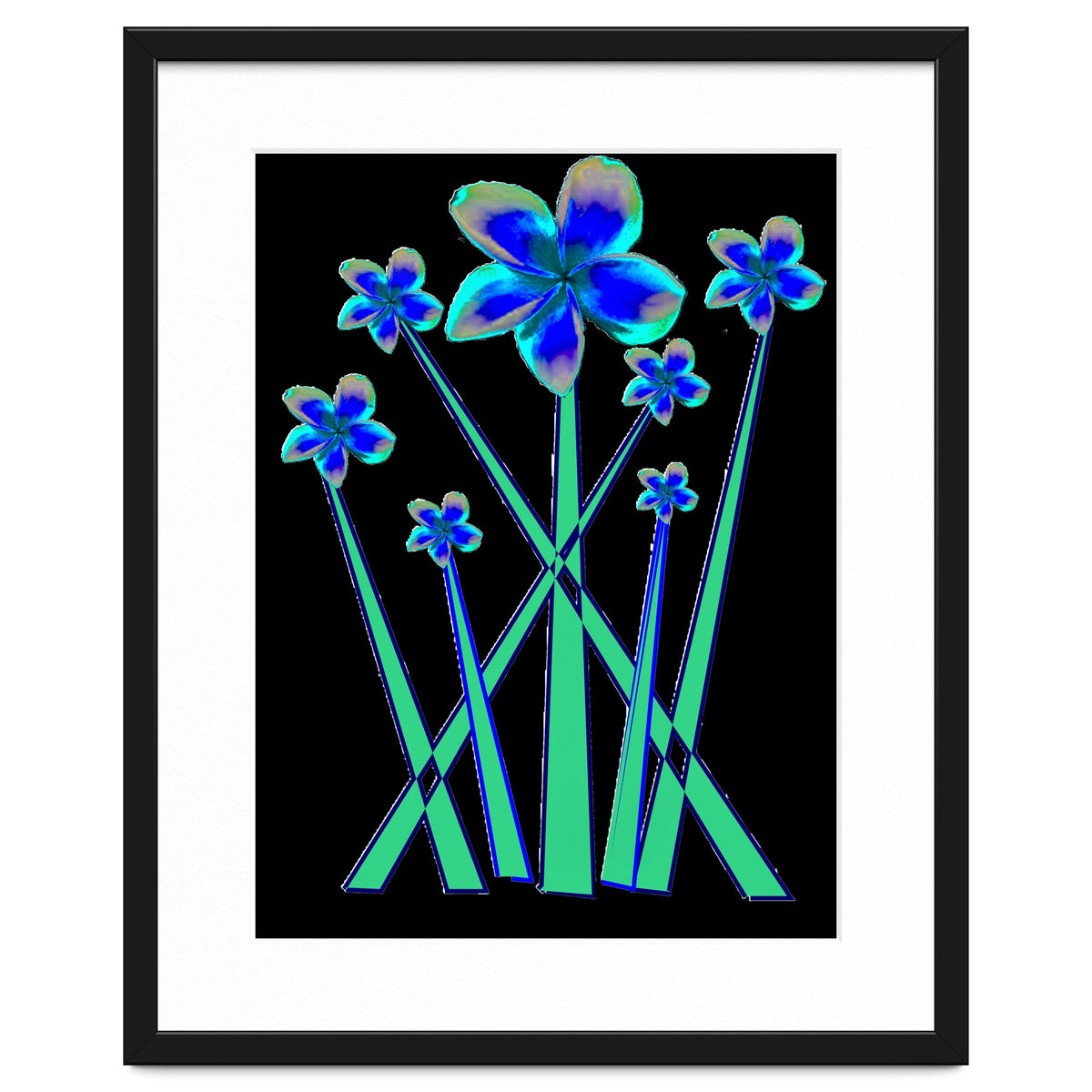 Blue flowers on black.