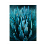 Blue Succulent (Print Only) thumbnail