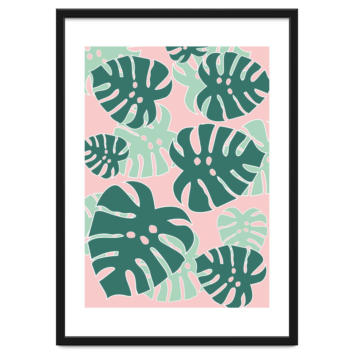 Monstera Tropical