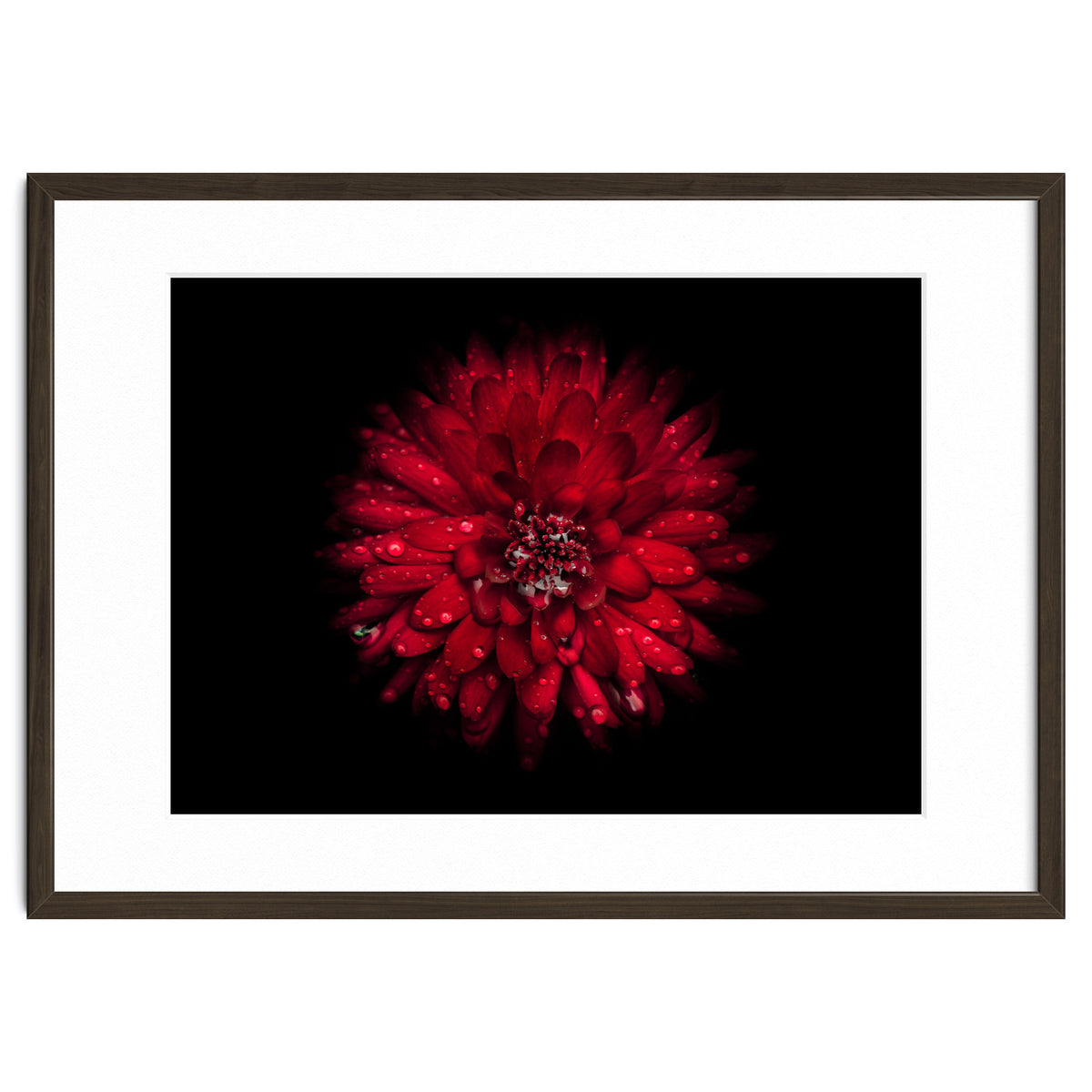 Backyard Flowers 45 Color Version