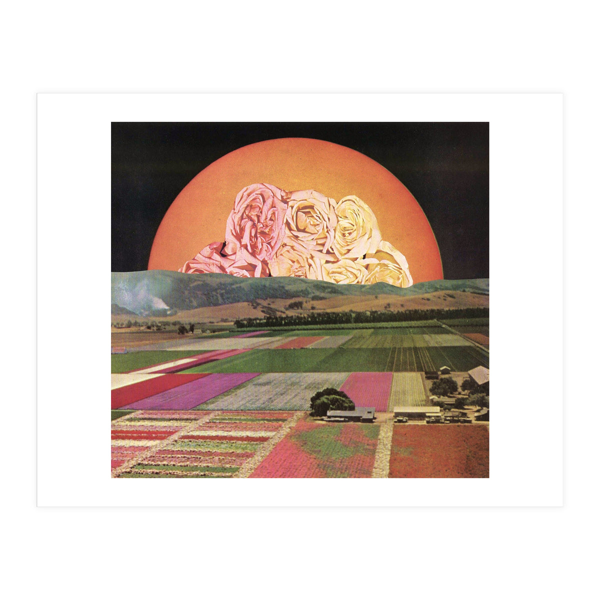 Untitled (Print Only)