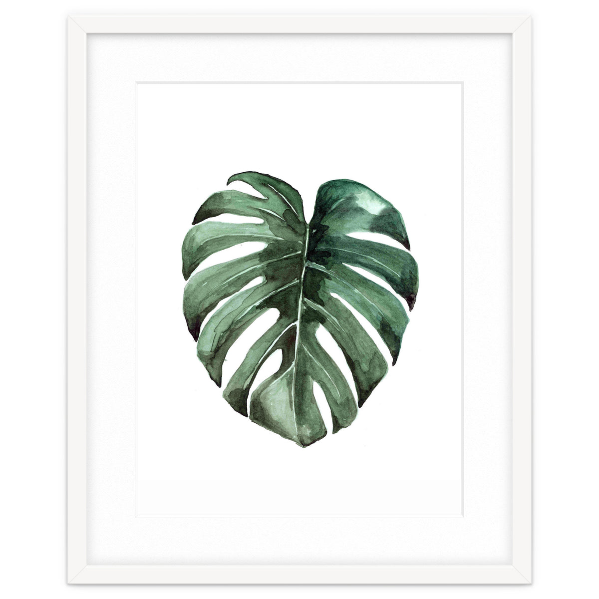 Botanical Illustration Monstera Deliciosa