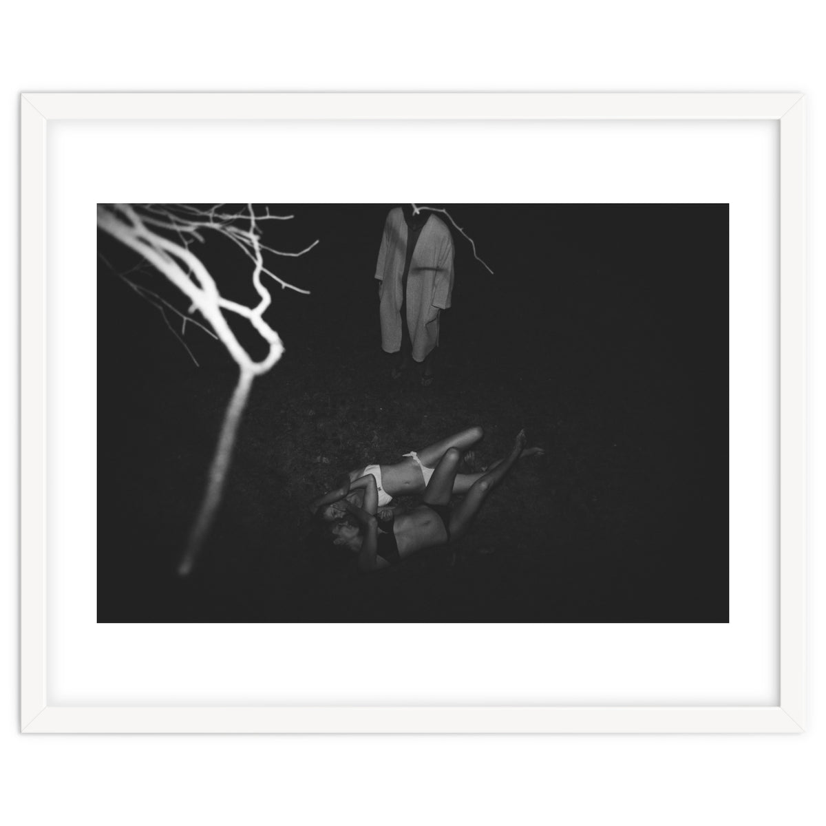 This is What it's Like to Live in a Tree House