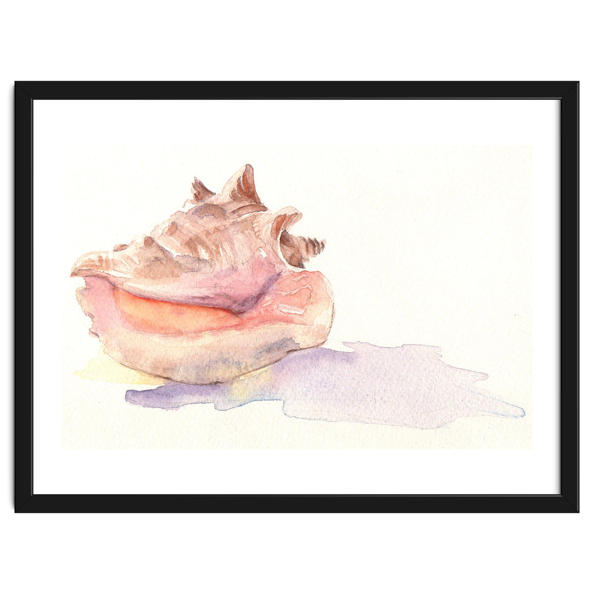 Conch Shell