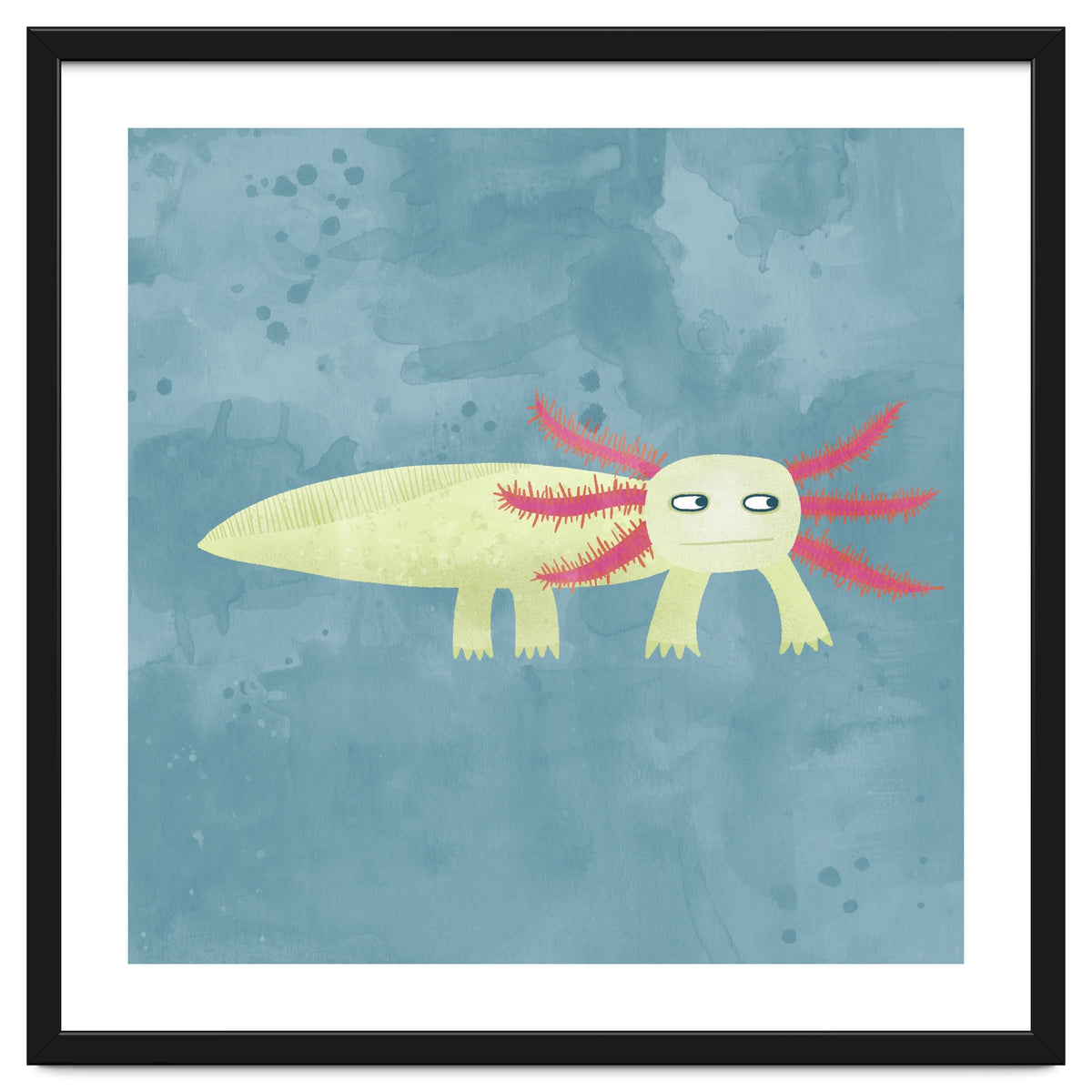 Axolotl