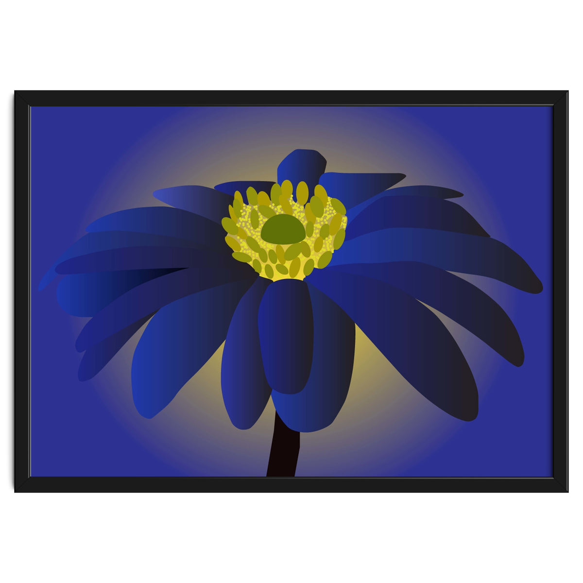Anemone Blanda Flower Art