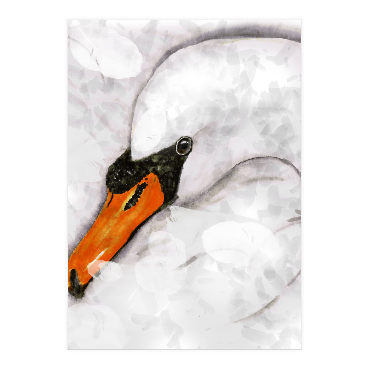 Mute swan (Print Only)