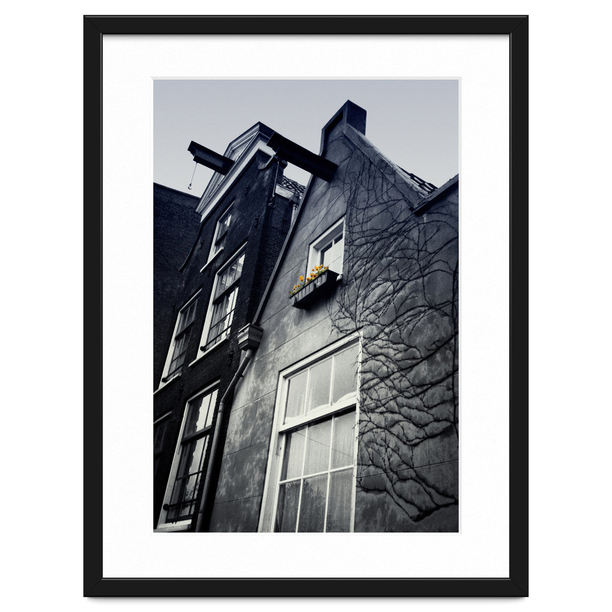 Amsterdam. House With Yellow Flowers.