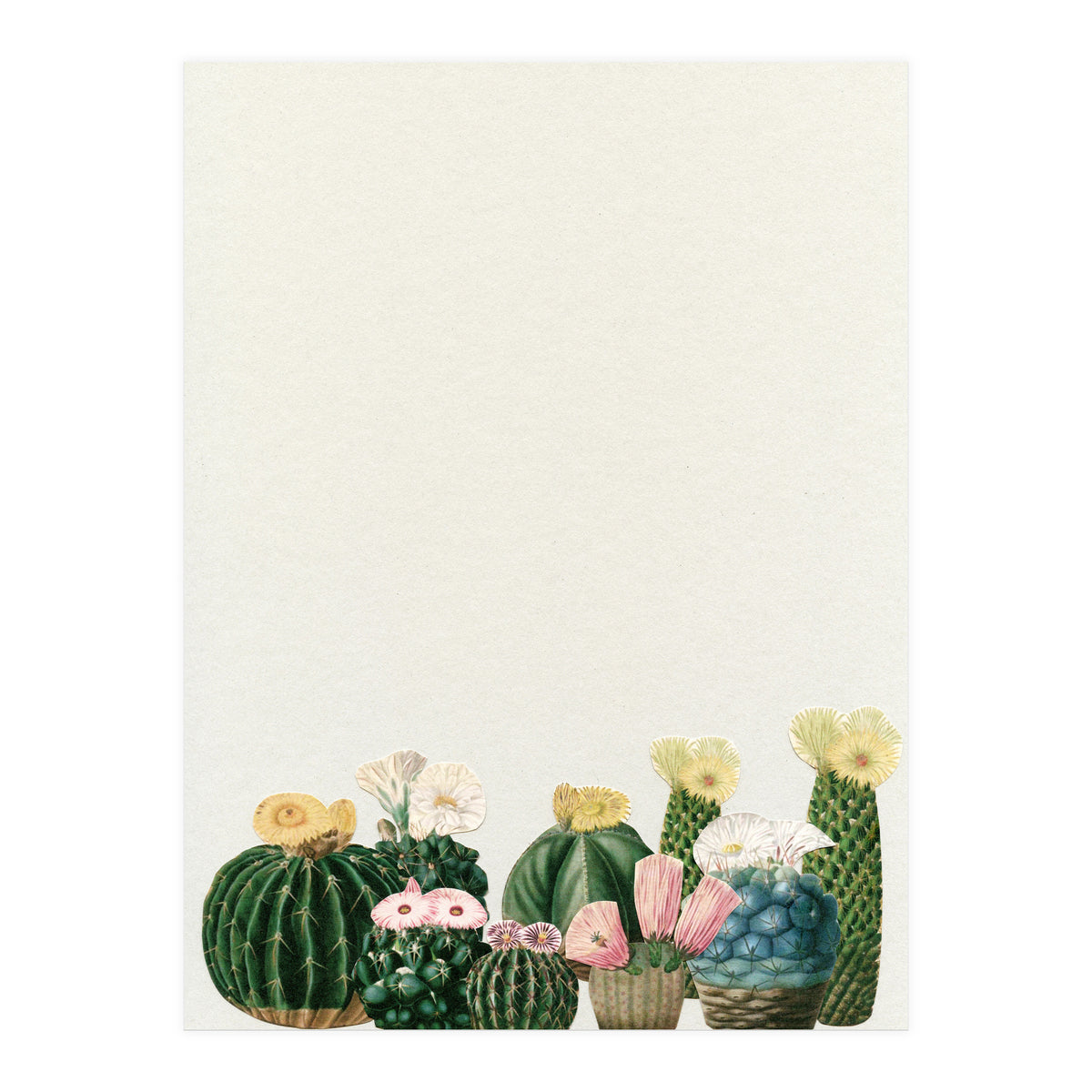 Cactus Garden (Print Only)