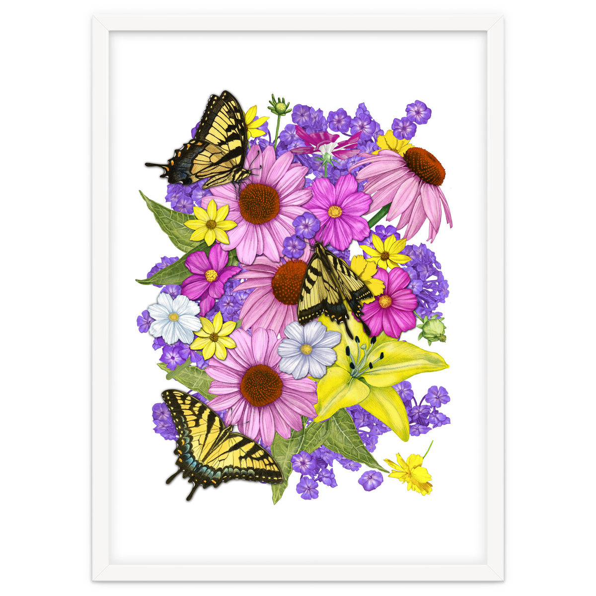 Corn Flowers and Swallowtails