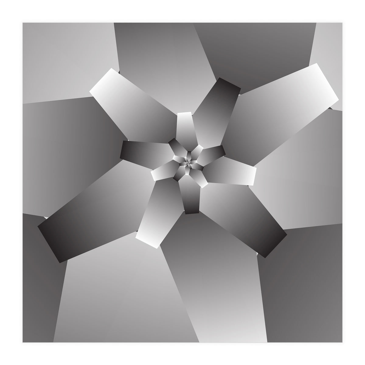 Monochrome Flower  (Print Only)