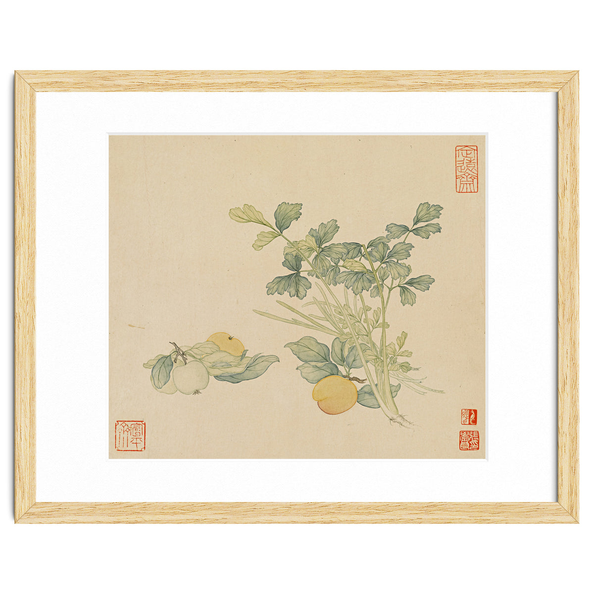 Wang Chengyu~flowers And Vegetables, Vegetables, Fruits, Plums, Apricots, Celery