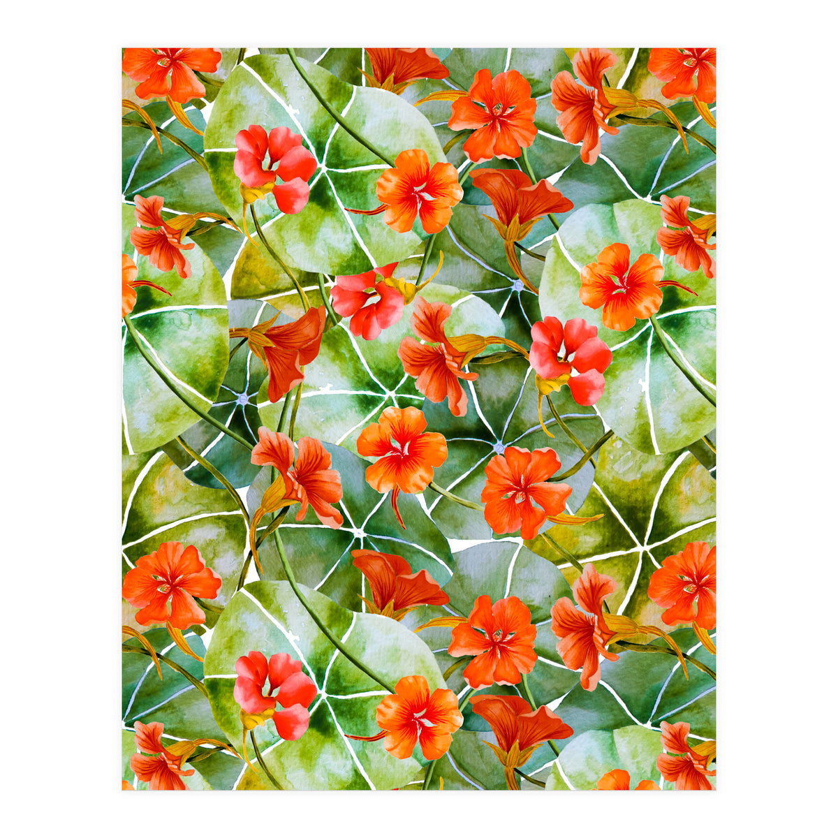 Nasturtiums watercolor 01 (Print Only)
