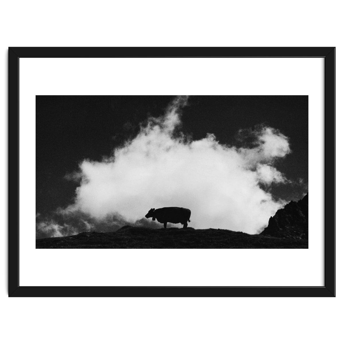 cow and cloud
