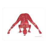 Prasarita Padottanasana in Red (Print Only) thumbnail
