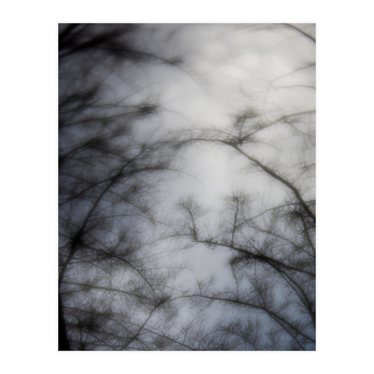 Forgotten Memories of Summer #16 (Print Only)