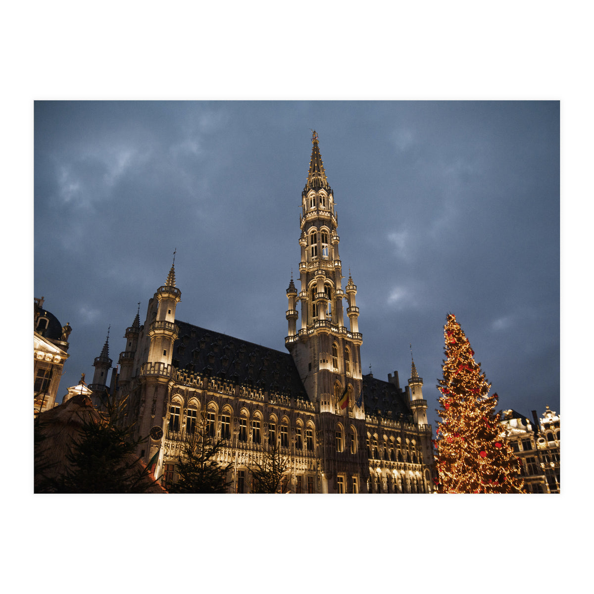 Home Alone (Print Only)