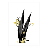 Flower Minimal Black And Gold 03 (Print Only) thumbnail