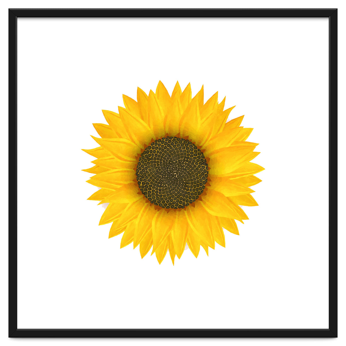 Watercolor Sunflower