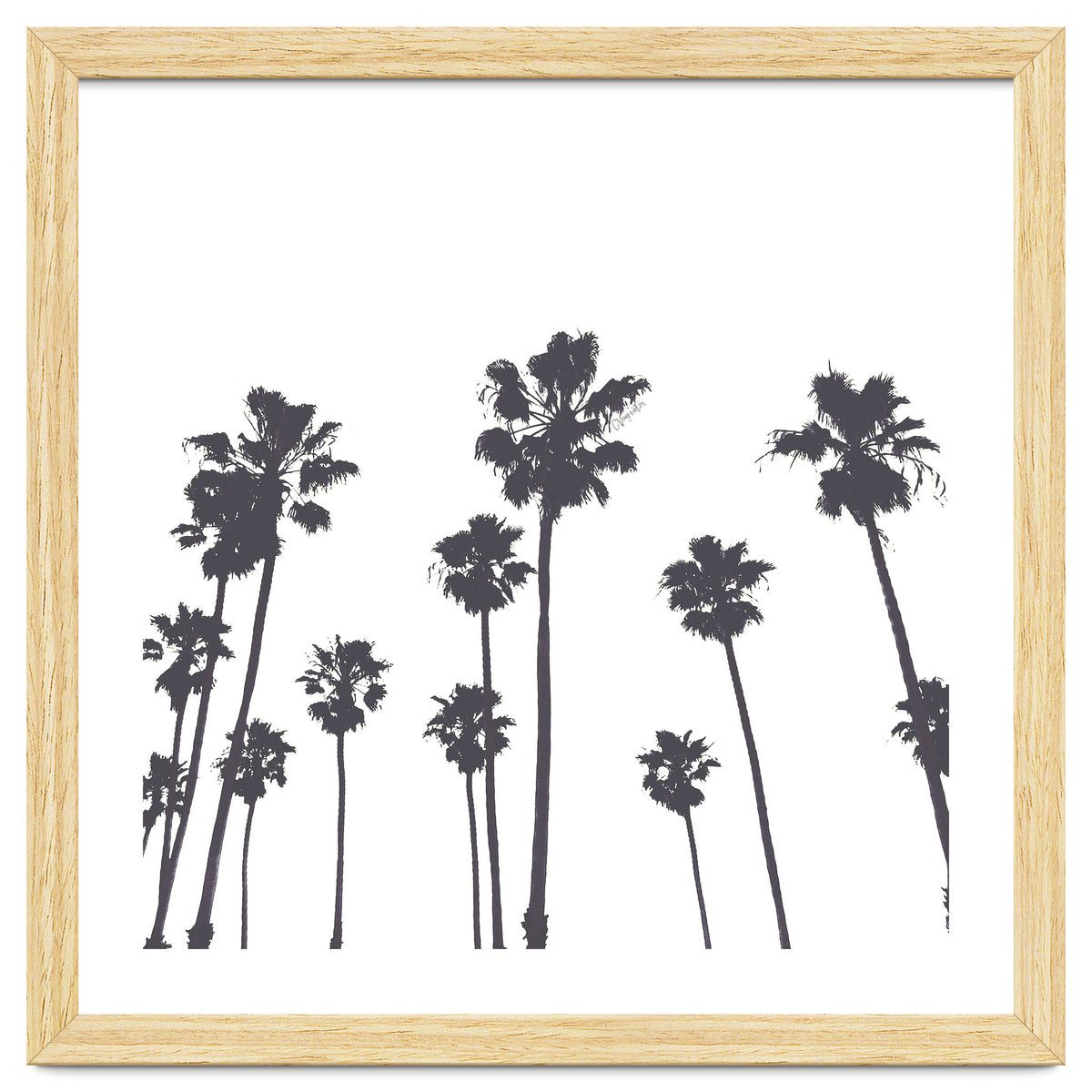 Palms & Sunset-Minimal B&W