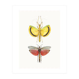 Cc Insects 08 (Print Only) thumbnail