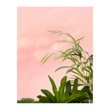 Minimal Botanical (Print Only) thumbnail