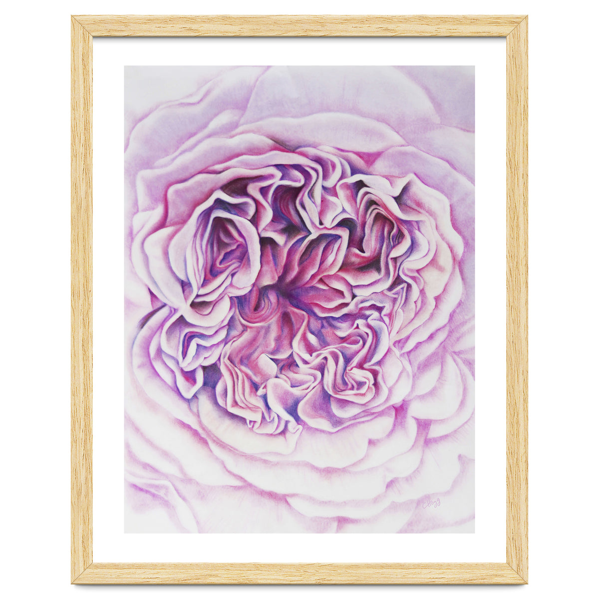 A Rose Is A Rose Std