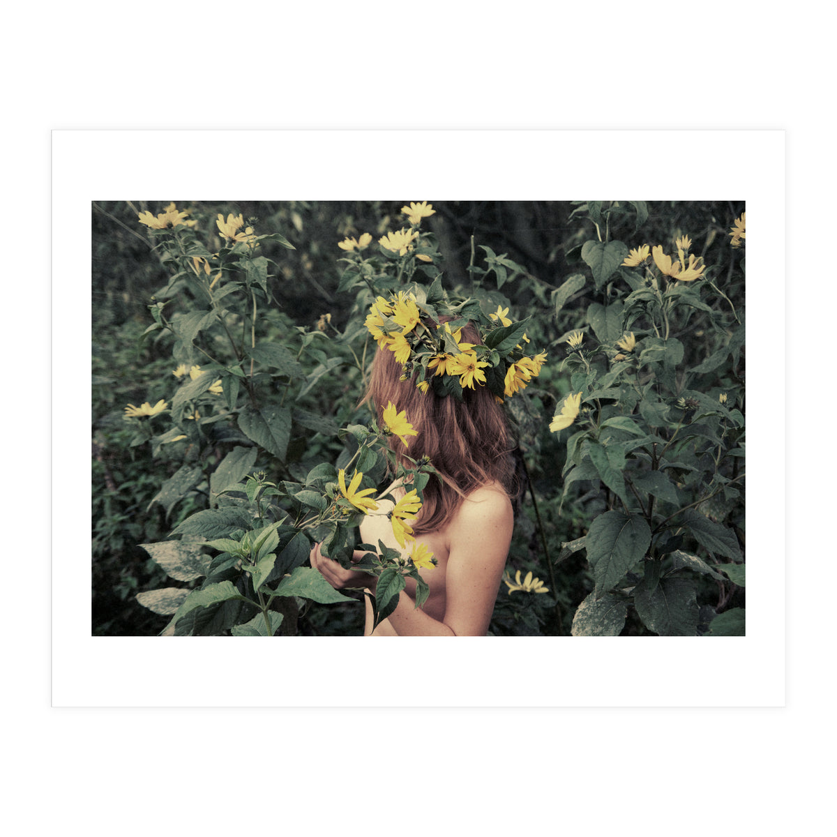 It Still Doesn’t Feel Like Summer Solstice Yet (Print Only)