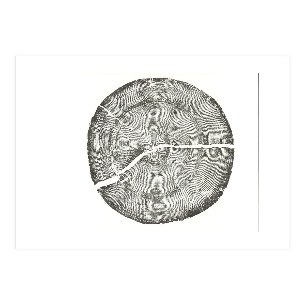 Rock Canyon, Tree Ring Print, Woodblock (Print Only)
