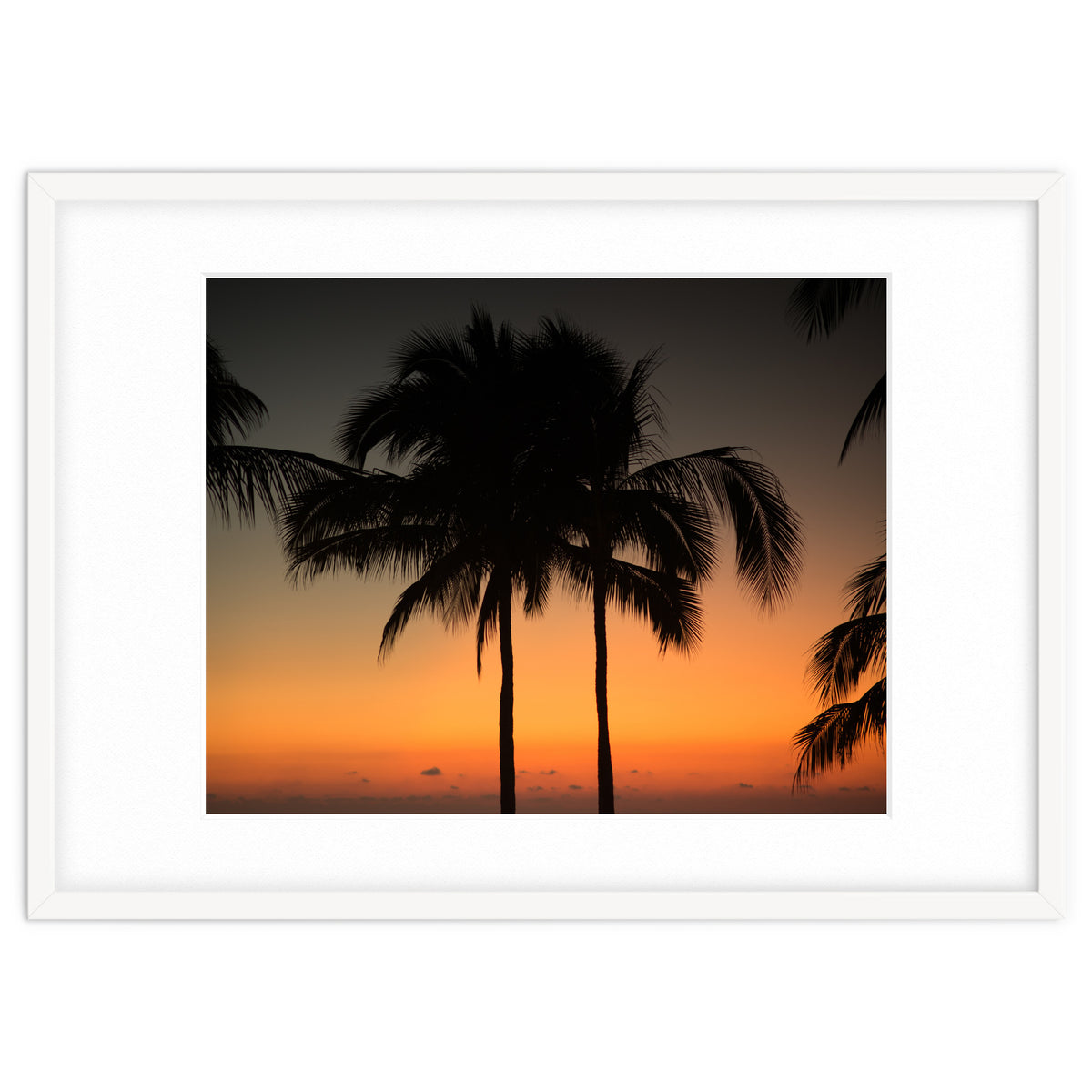 Mexico, November nights