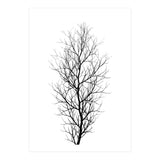 The Tree Black (Print Only) thumbnail