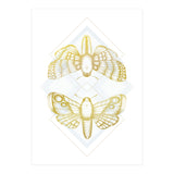 Polillas - Gold (Print Only) thumbnail