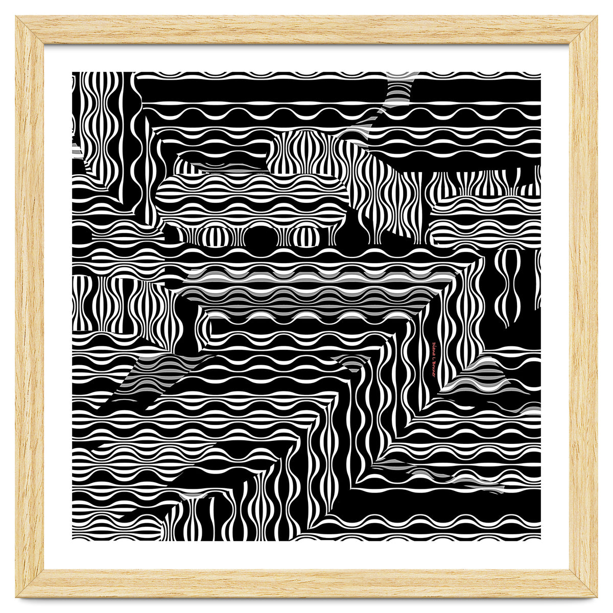 BLACK AND WHITE EXOTIC