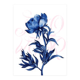 rosa blu (Print Only) thumbnail