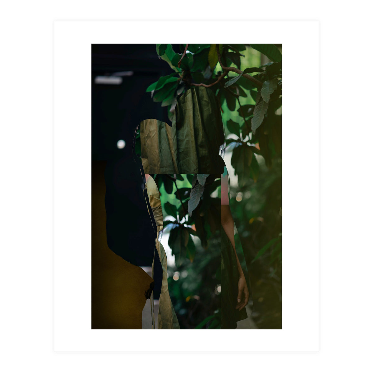 Disappeared Dreams 5 (Print Only)