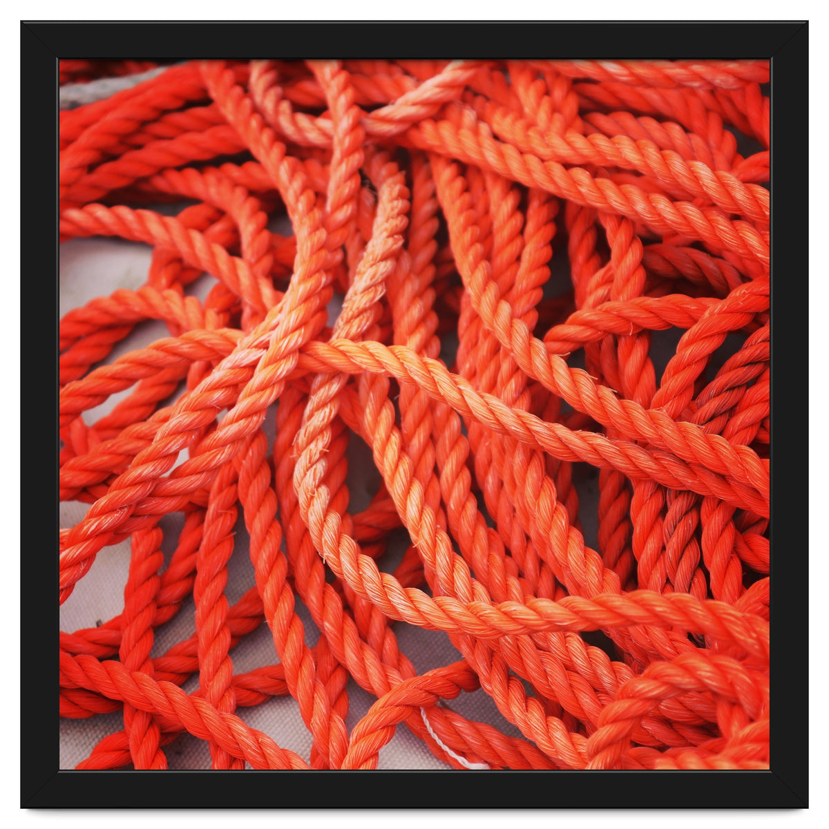 Orange ropes