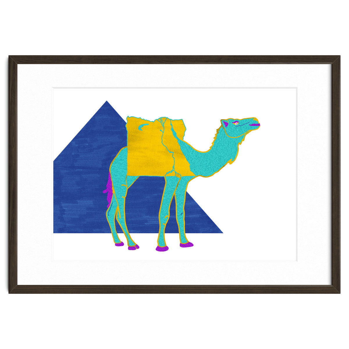 Egyptian Dromedary