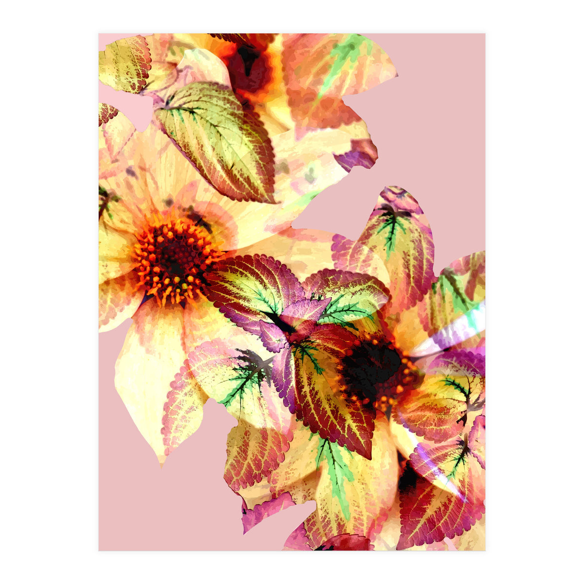 Flower Power (Print Only)