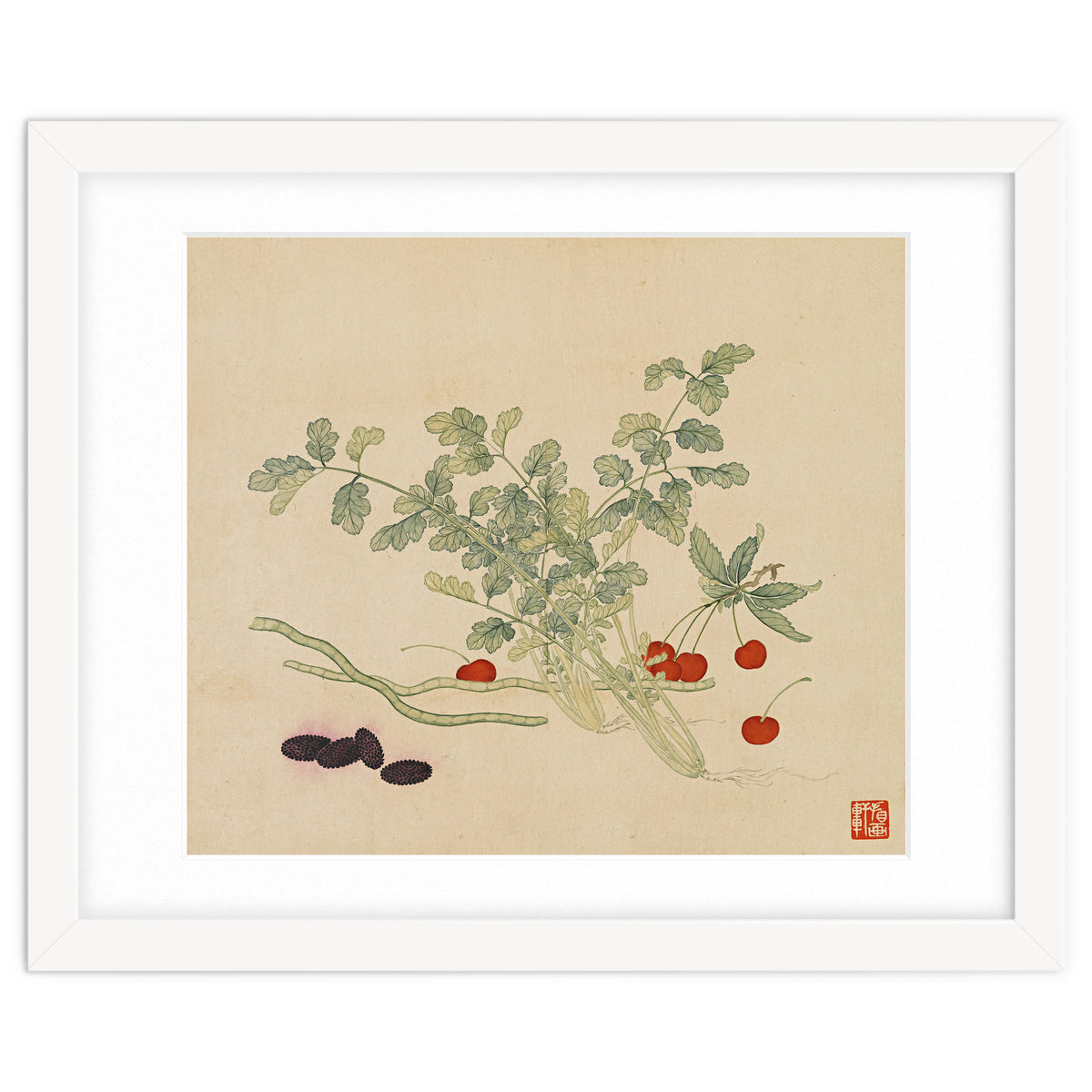 Wang Chengyu~flowers And Vegetables, Vegetables, Fruits, Beans, Red Beans, Cherries, Celery