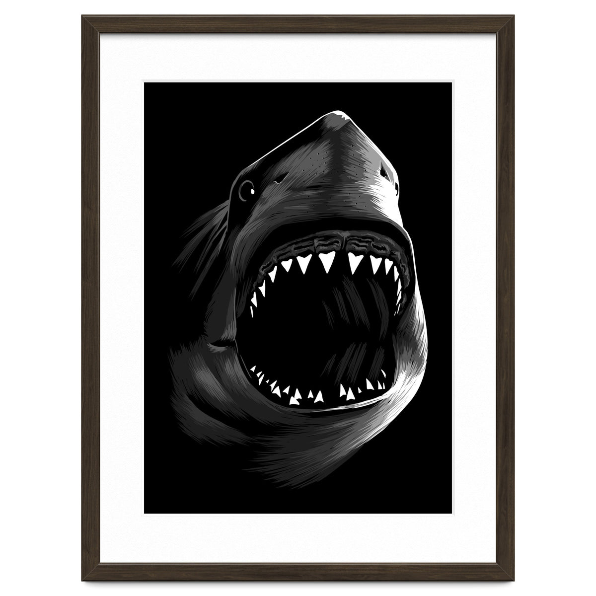 Megalodon