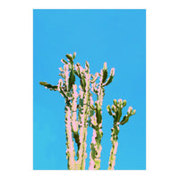 Cactus Beauty (Print Only)