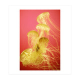 Jelly #7  (Print Only) thumbnail