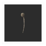 Simple Golden Botanical - Square (Print Only) thumbnail