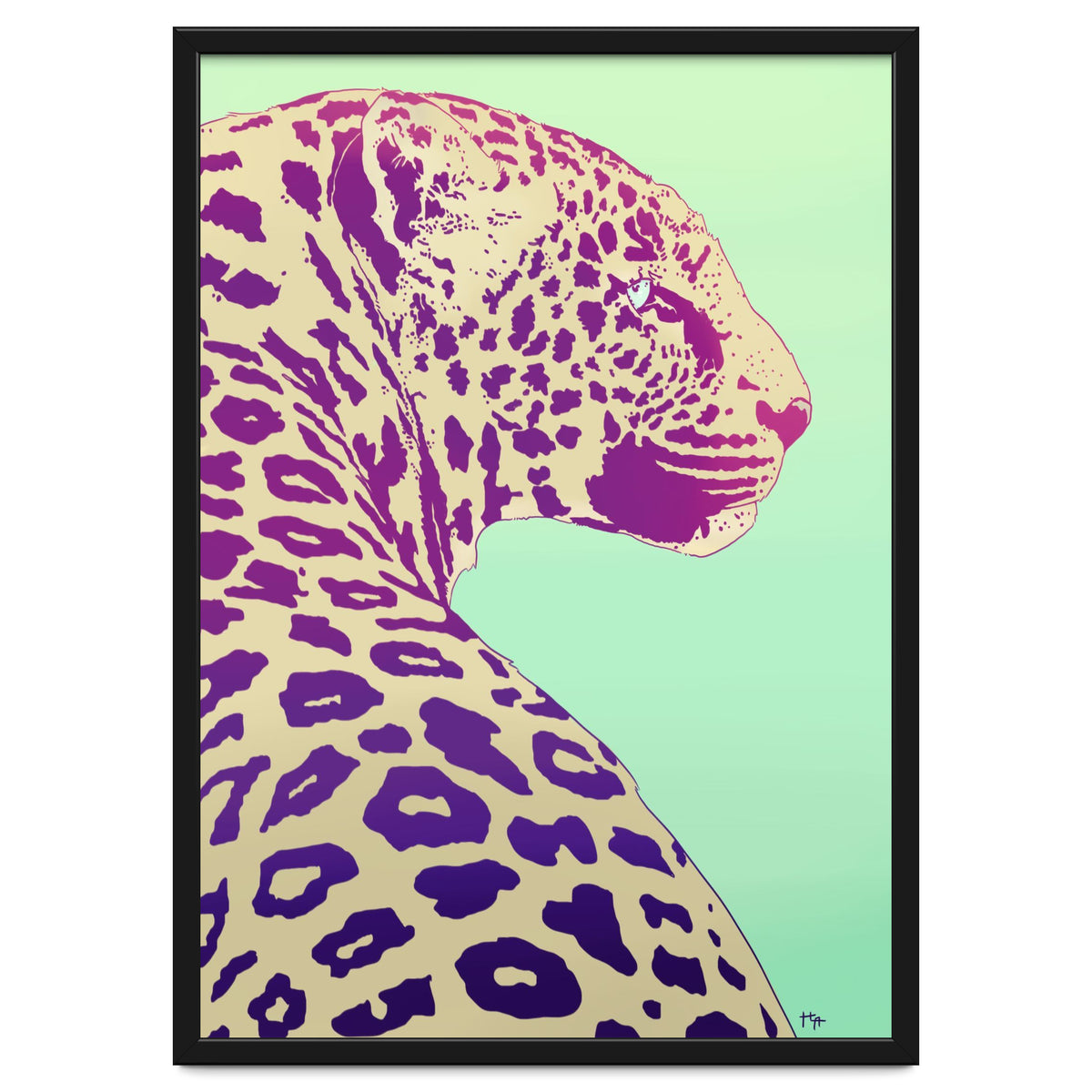 Leopard Under The Sun