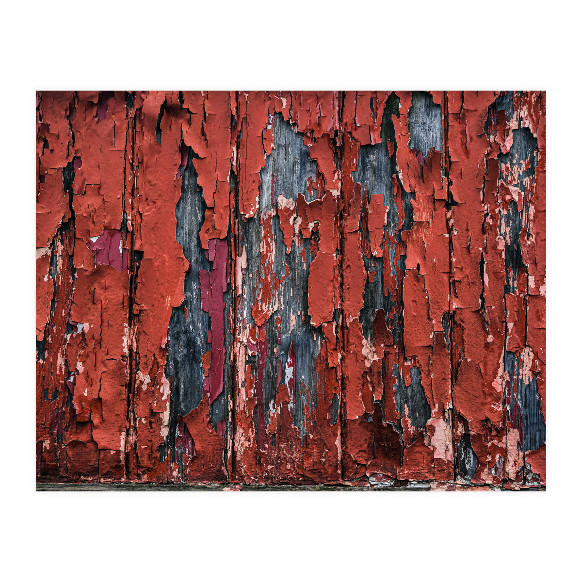 Flaking paint (Print Only)