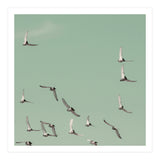 Mint Skies (Print Only) thumbnail
