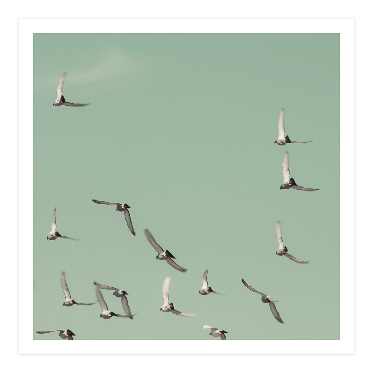 Mint Skies (Print Only)