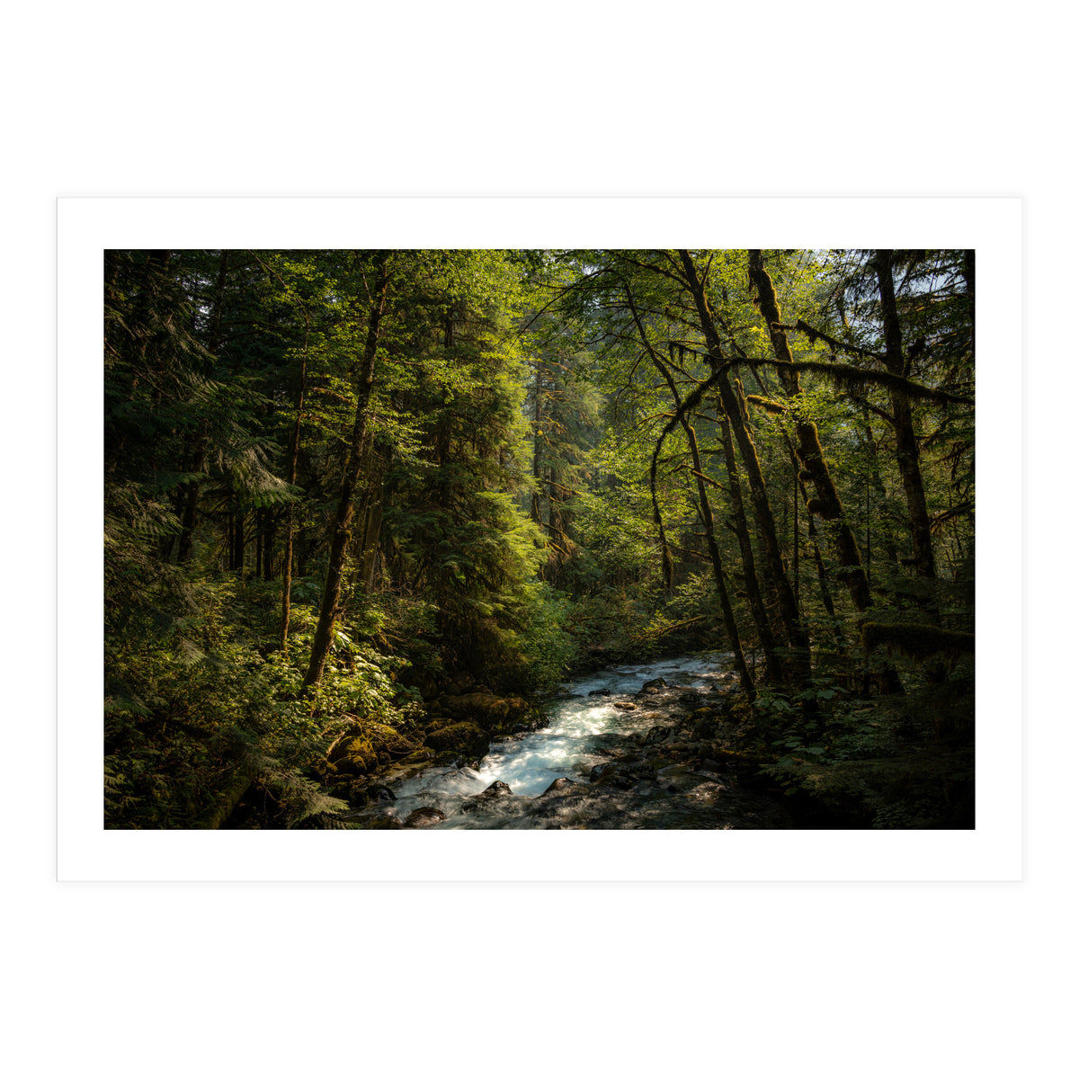 Cascade River (Print Only)