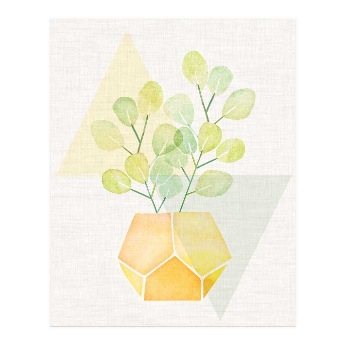 Geometry and House Plant (Print Only)